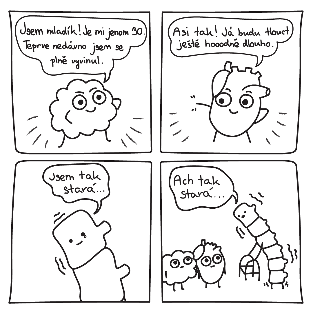 Short four-panel illustrated comic about a spine